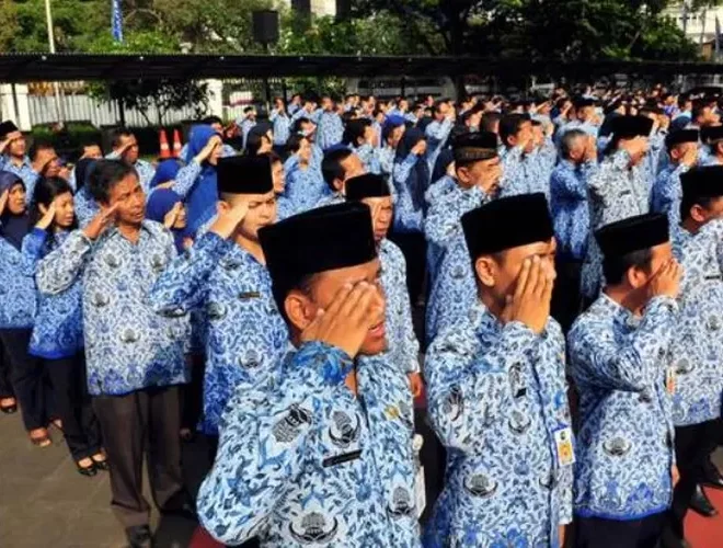 Jabatan Fungsional Aparatur Sipil Negara: Panduan Lengkap