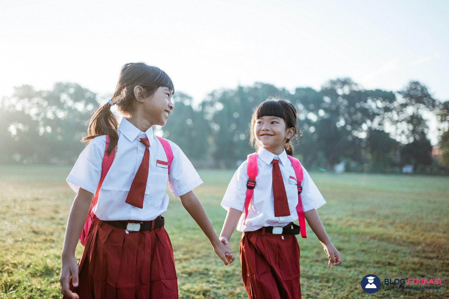 Tips Memahami Kebijakan Disdik untuk Sekolah